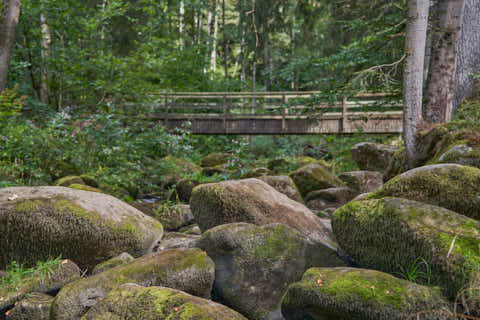 Gemeinde Waldkirchen Landkreis Freyung-Grafenau Saußbachklamm (Dirschl Johann) Deutschland FRG